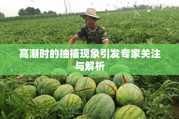 高潮时的抽搐现象引发专家关注与解析