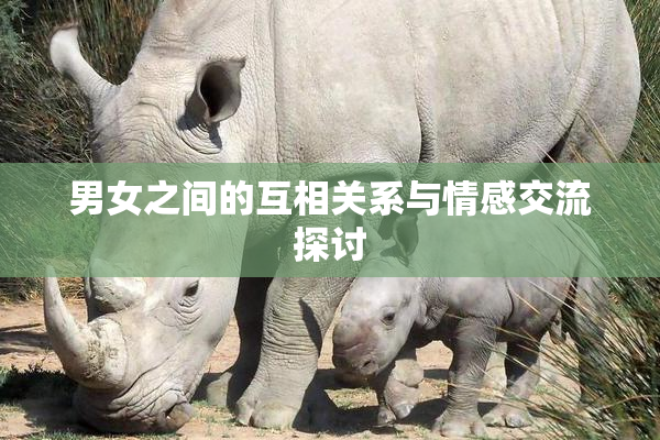 男女之间的互相关系与情感交流探讨