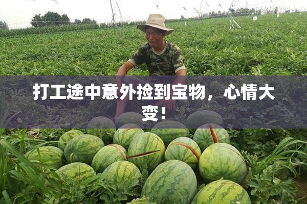 打工途中意外捡到宝物，心情大变！