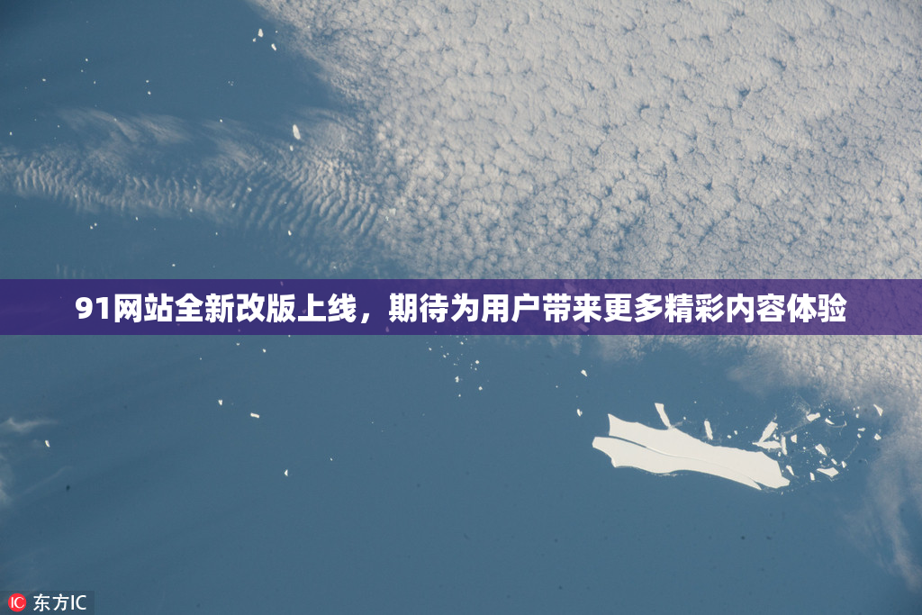 91网站全新改版上线，期待为用户带来更多精彩内容体验