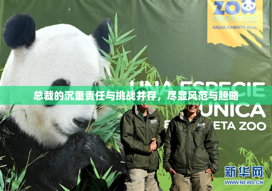 总裁的沉重责任与挑战并存，尽显风范与胆略
