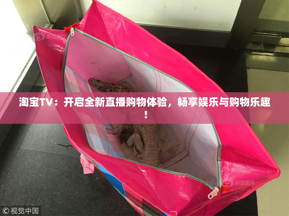 淘宝TV：开启全新直播购物体验，畅享娱乐与购物乐趣！