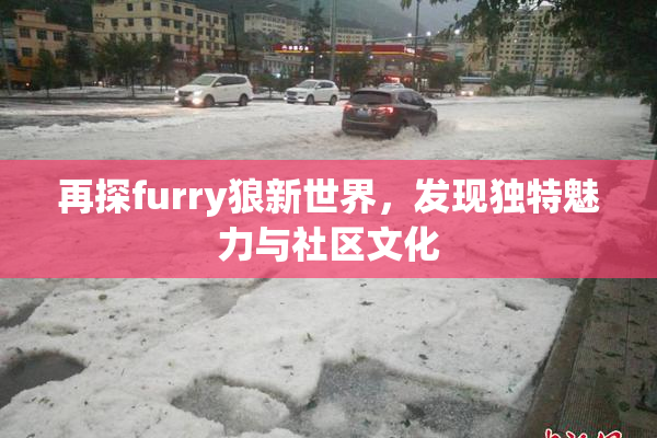 再探furry狼新世界，发现独特魅力与社区文化