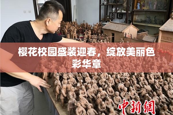 樱花校园盛装迎春，绽放美丽色彩华章