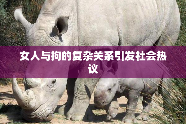 女人与拘的复杂关系引发社会热议