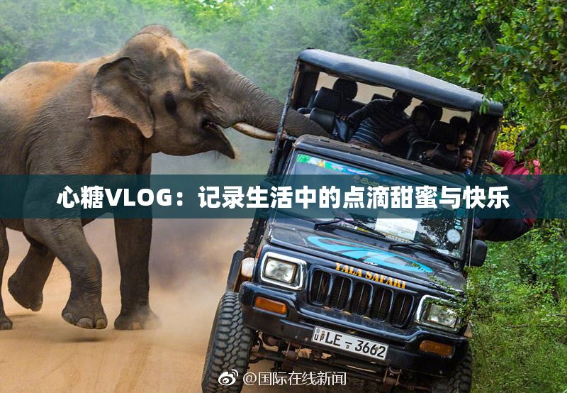 心糖VLOG：记录生活中的点滴甜蜜与快乐