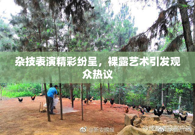 杂技表演精彩纷呈，裸露艺术引发观众热议