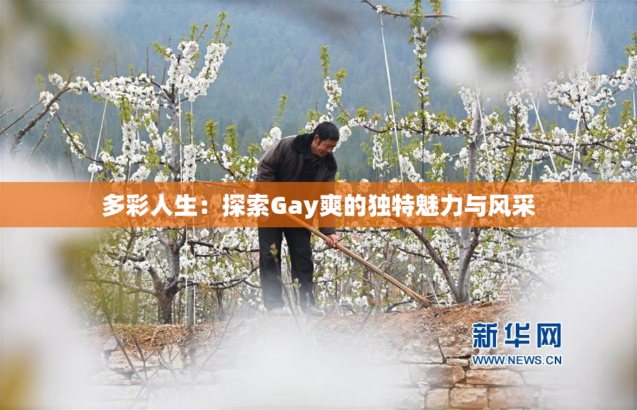 多彩人生：探索Gay爽的独特魅力与风采