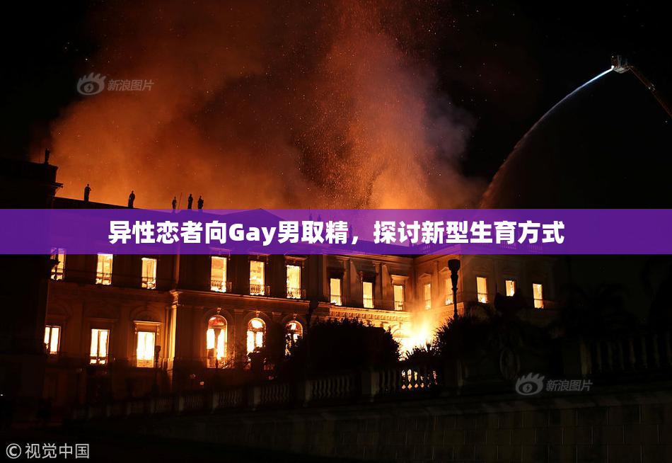 异性恋者向Gay男取精，探讨新型生育方式