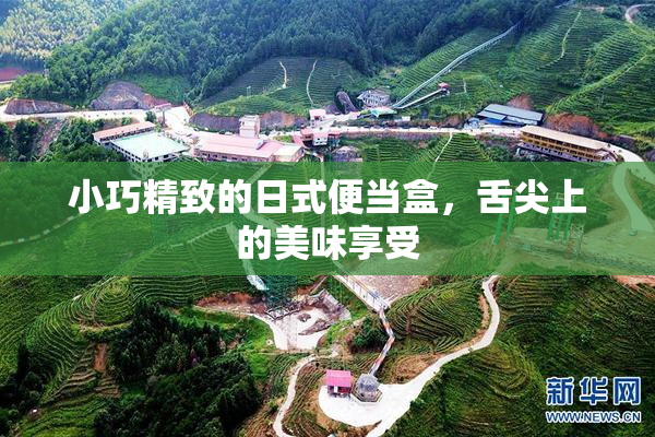 小巧精致的日式便当盒，舌尖上的美味享受