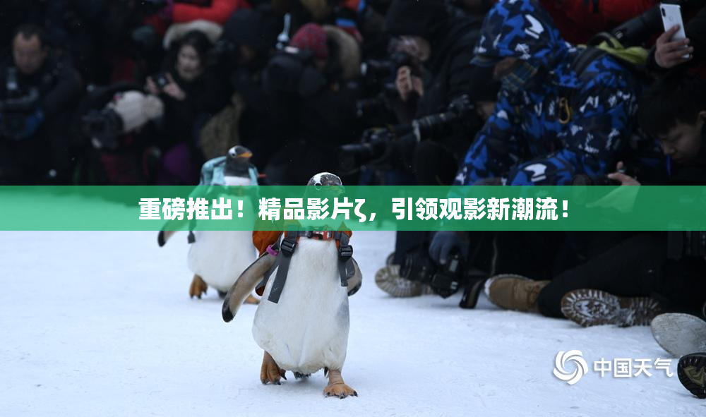 重磅推出！精品影片ζ，引领观影新潮流！