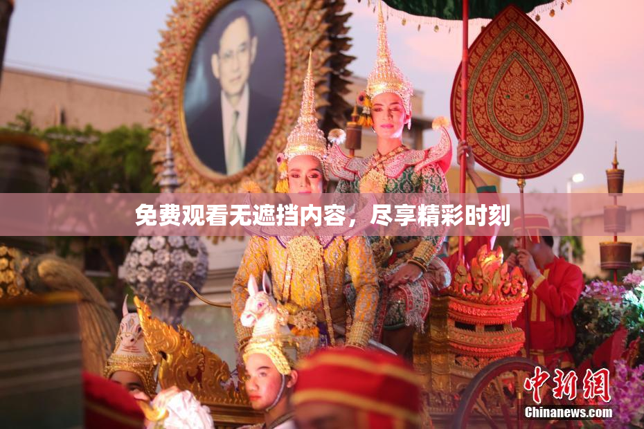 免费观看无遮挡内容，尽享精彩时刻