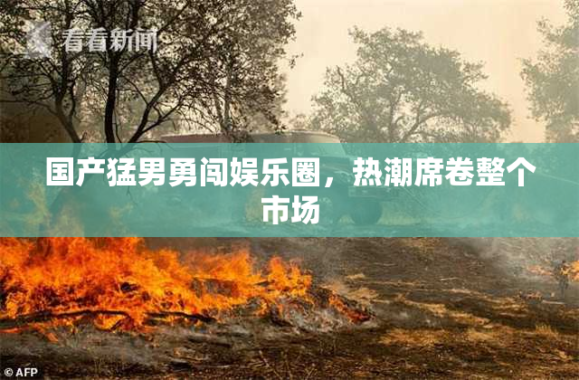 国产猛男勇闯娱乐圈，热潮席卷整个市场