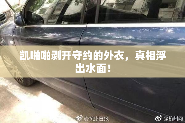 凯啪啪剥开守约的外衣，真相浮出水面！