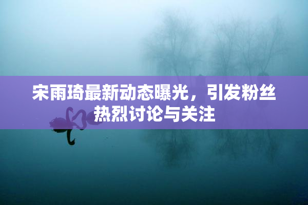 宋雨琦最新动态曝光，引发粉丝热烈讨论与关注