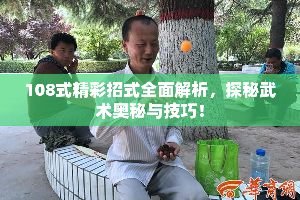 108式精彩招式全面解析，探秘武术奥秘与技巧！
