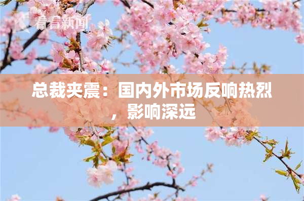 总裁夹震：国内外市场反响热烈，影响深远