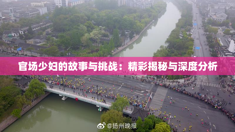 官场少妇的故事与挑战：精彩揭秘与深度分析