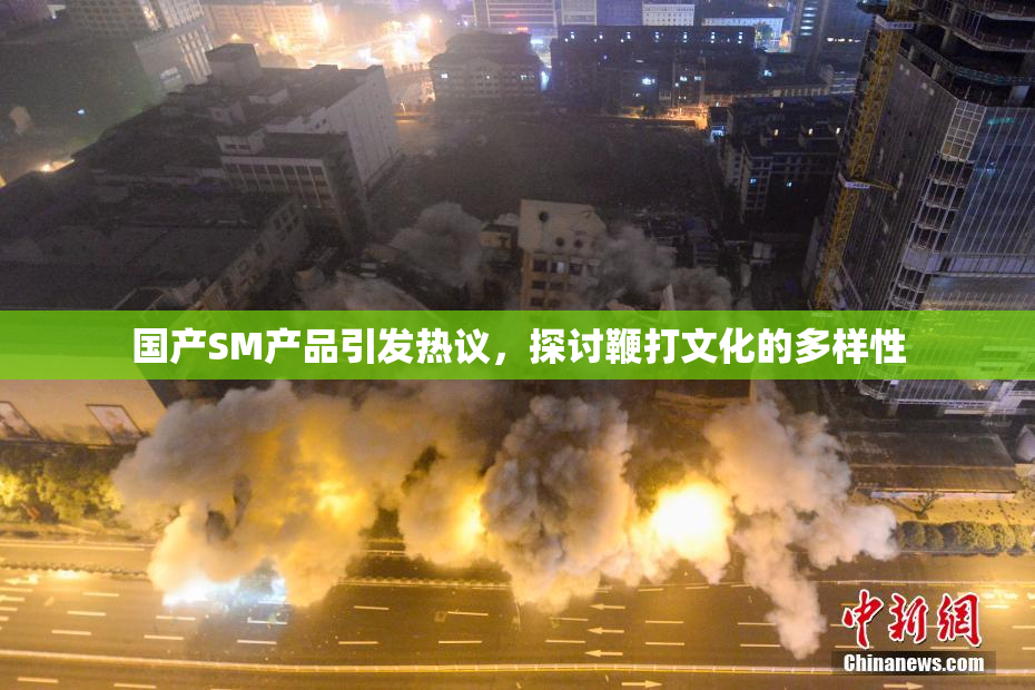 国产SM产品引发热议，探讨鞭打文化的多样性