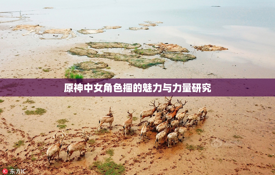 原神中女角色捆的魅力与力量研究