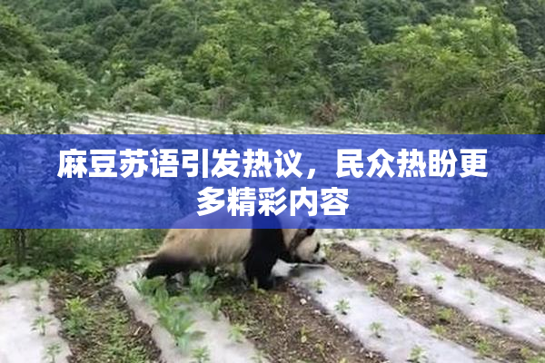 麻豆苏语引发热议，民众热盼更多精彩内容