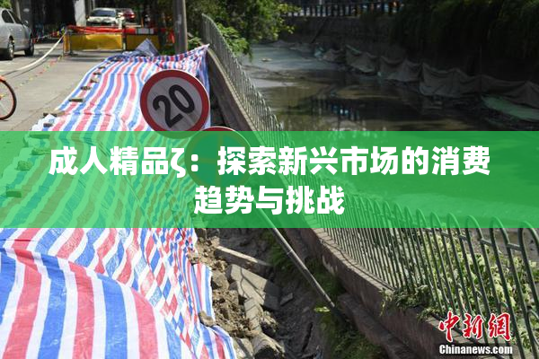 成人精品ζ：探索新兴市场的消费趋势与挑战