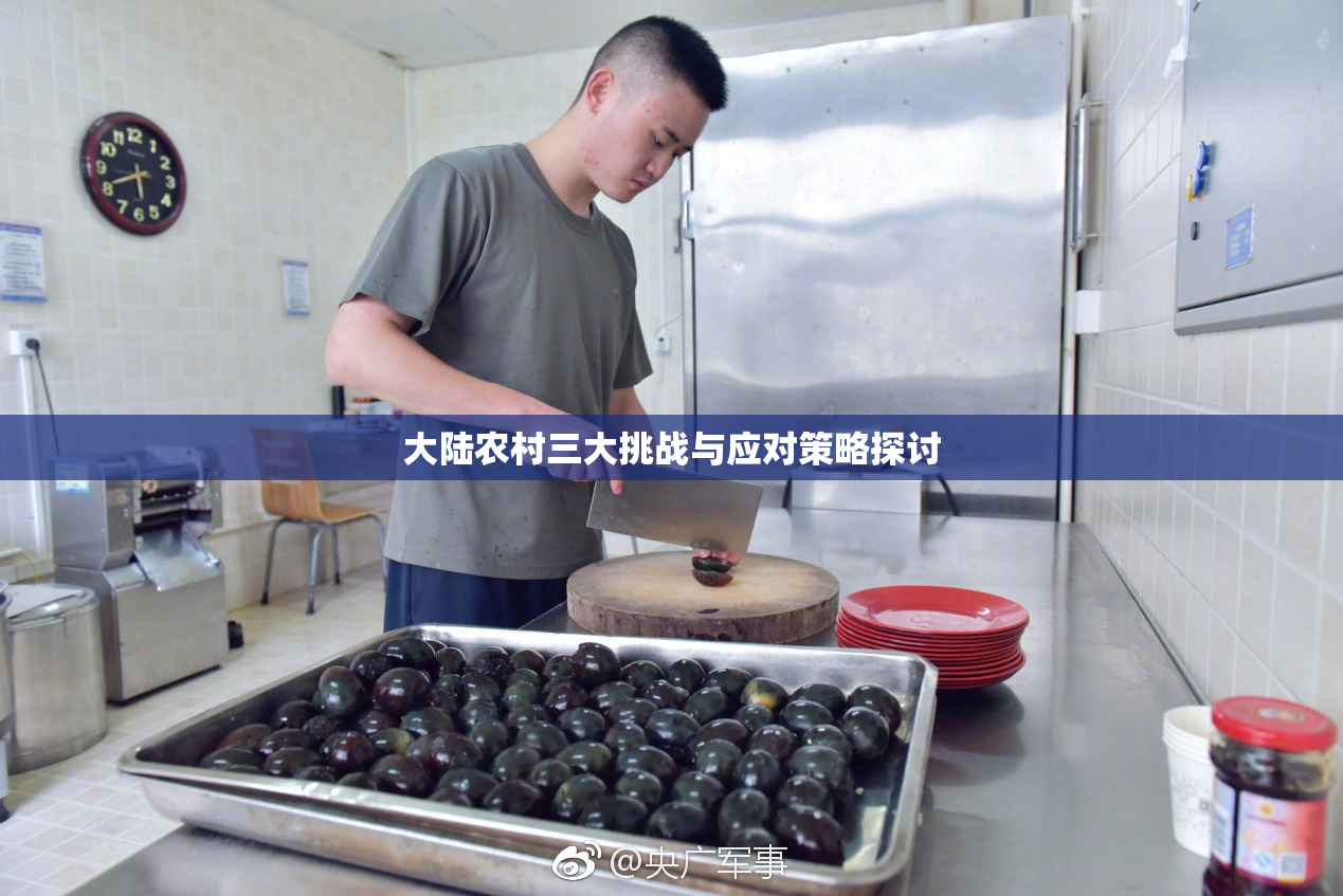 大陆农村三大挑战与应对策略探讨