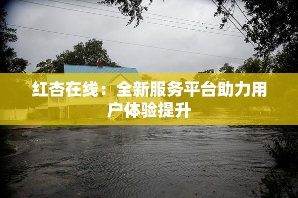 红杏在线：全新服务平台助力用户体验提升