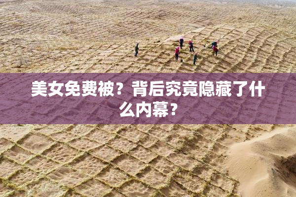 美女免费被？背后究竟隐藏了什么内幕？