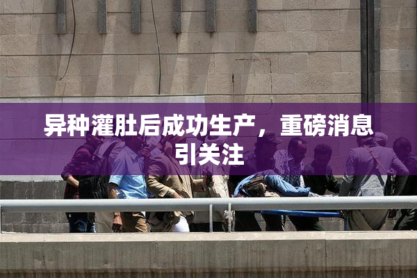 异种灌肚后成功生产，重磅消息引关注
