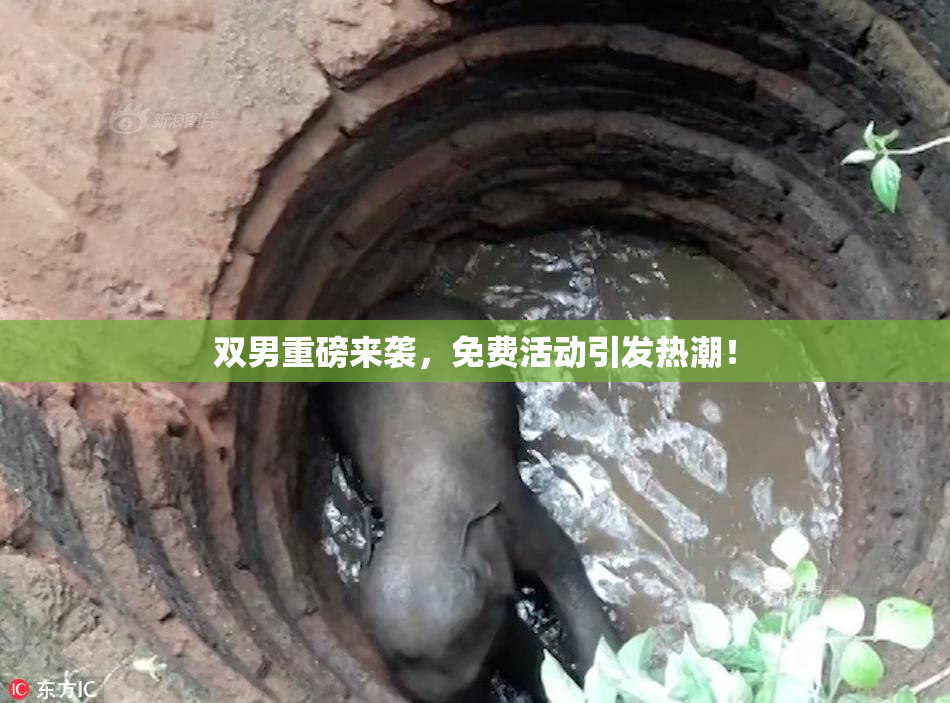 双男重磅来袭，免费活动引发热潮！