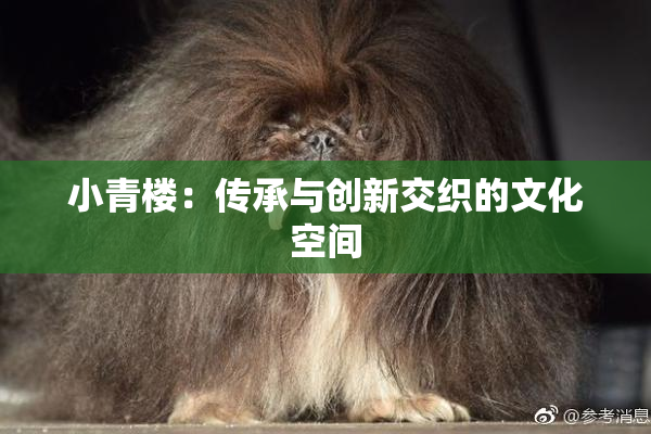 小青楼：传承与创新交织的文化空间