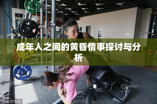 成年人之间的黄昏情事探讨与分析