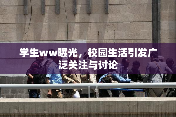 学生ww曝光，校园生活引发广泛关注与讨论