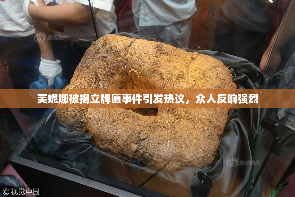 芙妮娜被揭立牌匾事件引发热议，众人反响强烈
