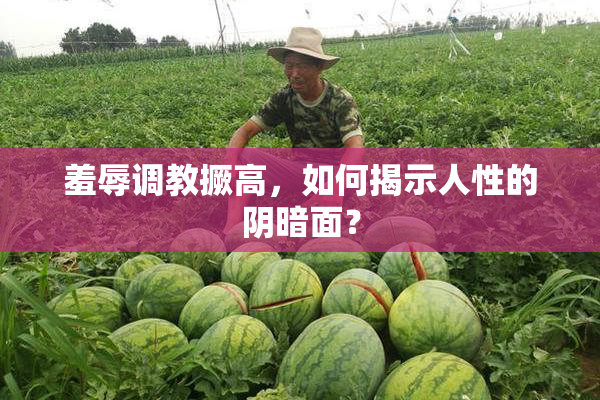 羞辱调教撅高，如何揭示人性的阴暗面？