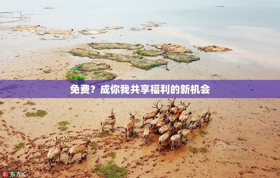 免费？成你我共享福利的新机会