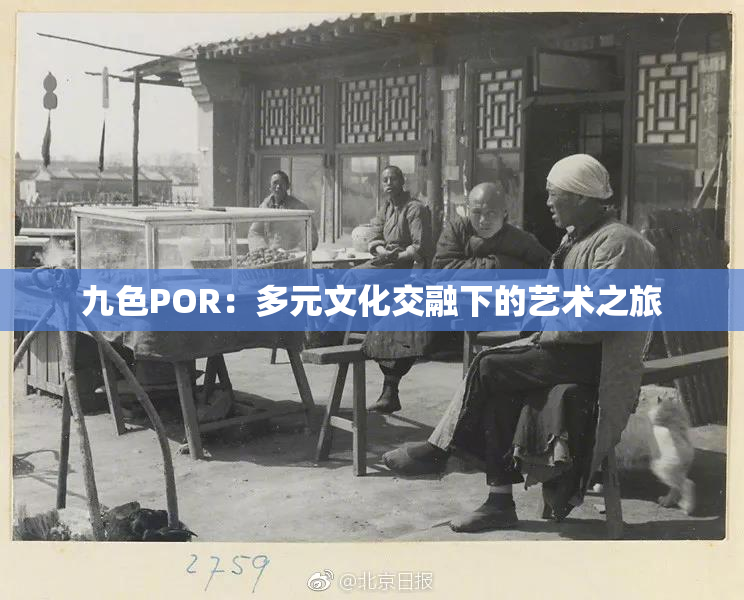 九色POR：多元文化交融下的艺术之旅