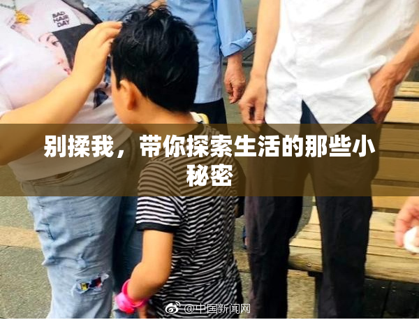 别揉我，带你探索生活的那些小秘密