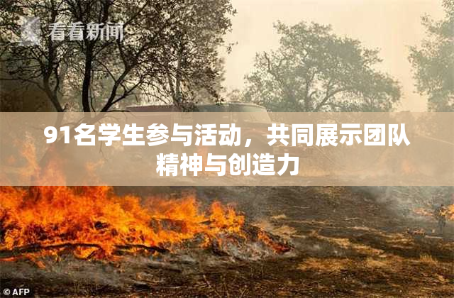 91名学生参与活动，共同展示团队精神与创造力