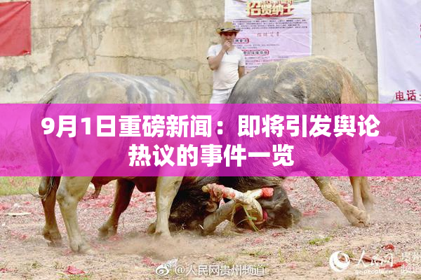 9月1日重磅新闻：即将引发舆论热议的事件一览
