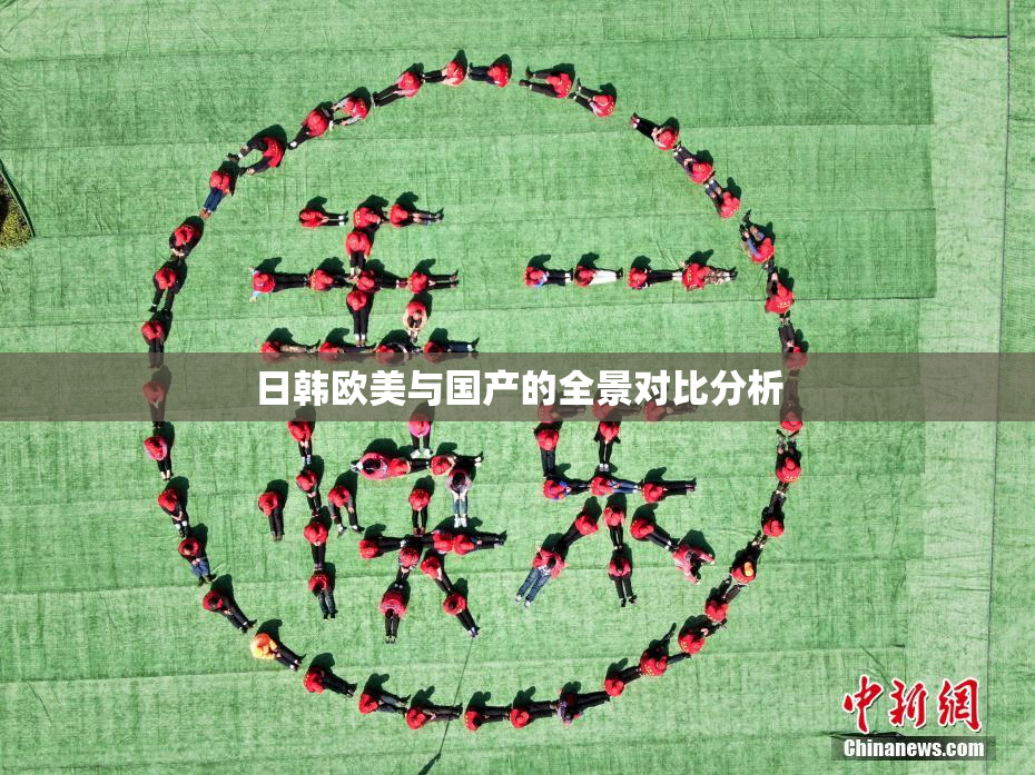 日韩欧美与国产的全景对比分析