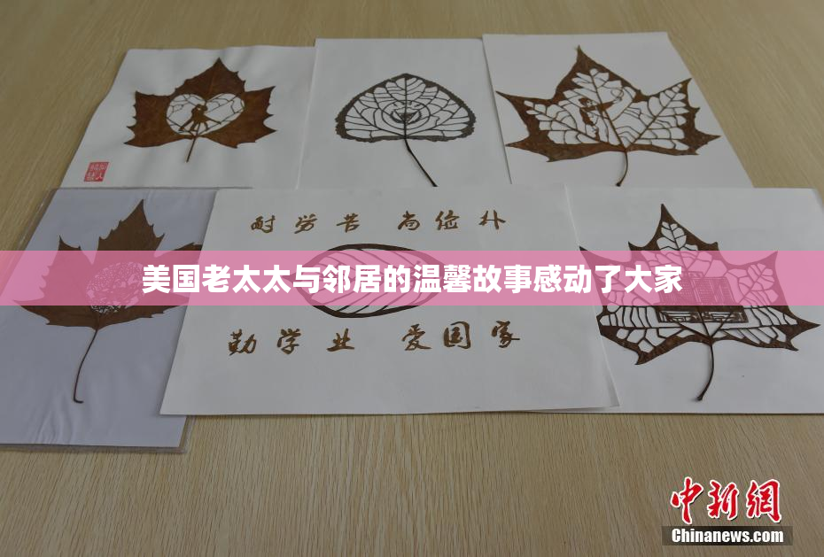 美国老太太与邻居的温馨故事感动了大家