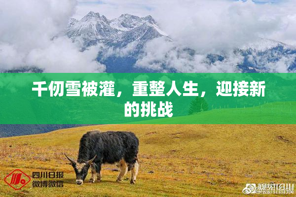 千仞雪被灌，重整人生，迎接新的挑战