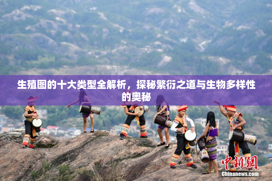 生殖图的十大类型全解析，探秘繁衍之道与生物多样性的奥秘