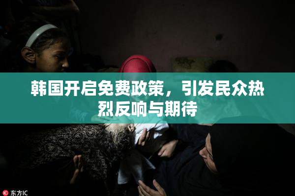 韩国开启免费政策，引发民众热烈反响与期待