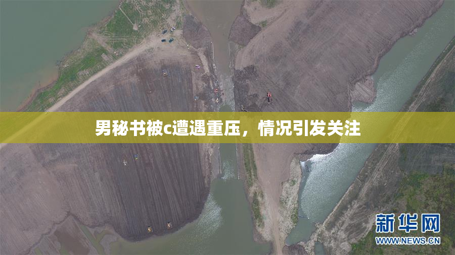 男秘书被c遭遇重压，情况引发关注