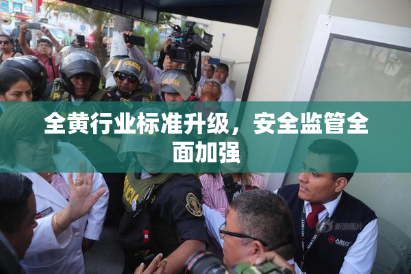 全黄行业标准升级，安全监管全面加强