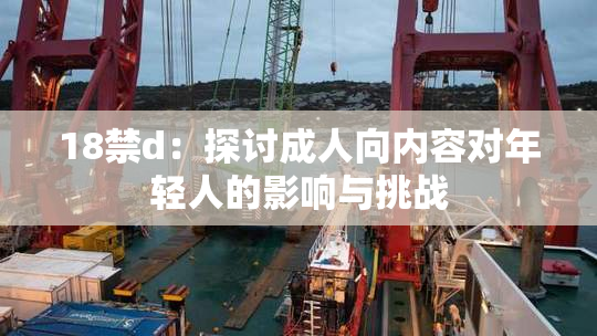 18禁d：探讨成人向内容对年轻人的影响与挑战