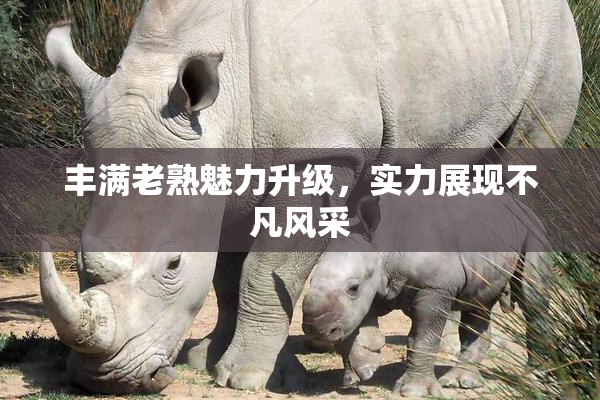 丰满老熟魅力升级，实力展现不凡风采